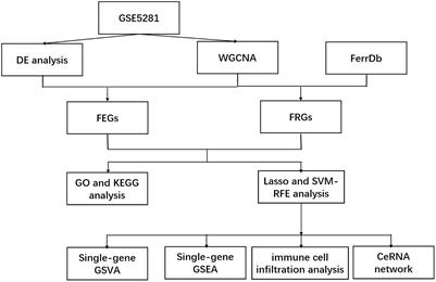 Genetic markers associated with ferroptosis in Alzheimer’s disease